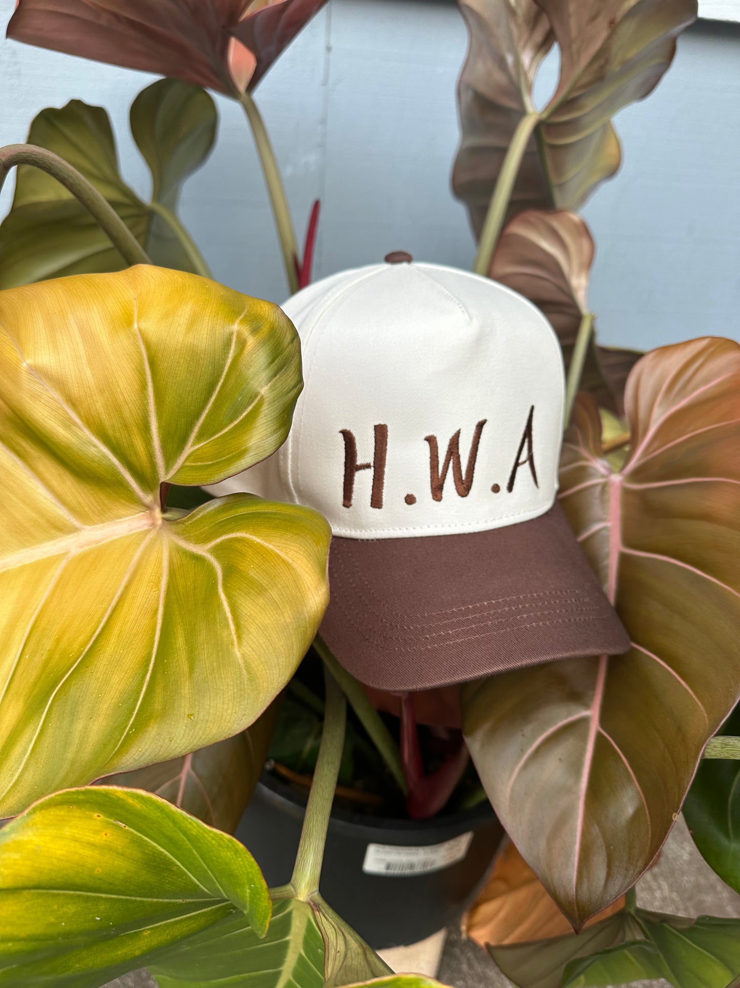 Hawaiians With Attitude