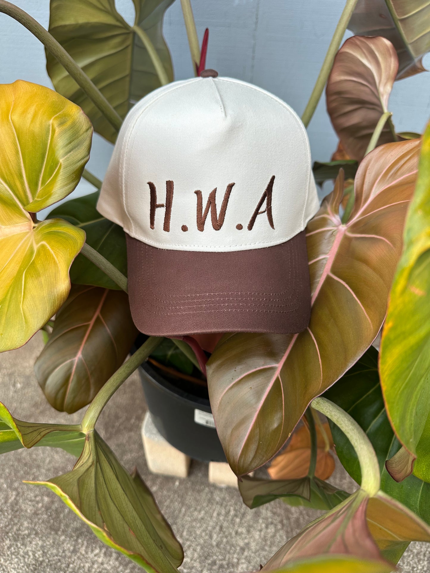 Hawaiians With Attitude