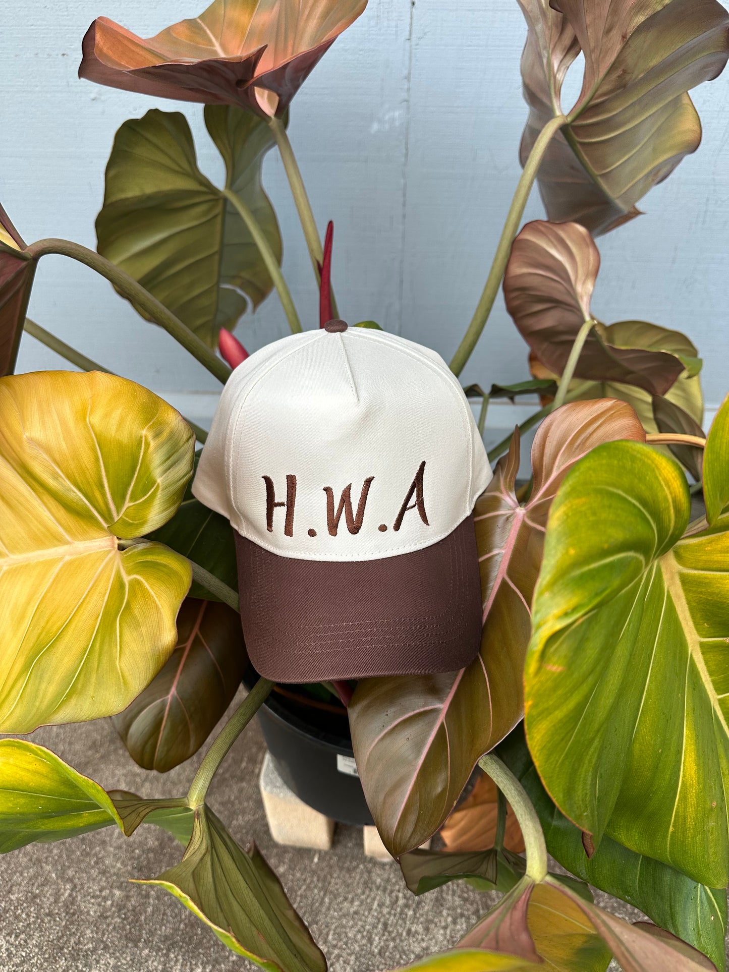 Hawaiians With Attitude